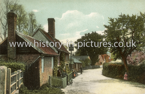 The Village, Black Notley, Essex. c.1905